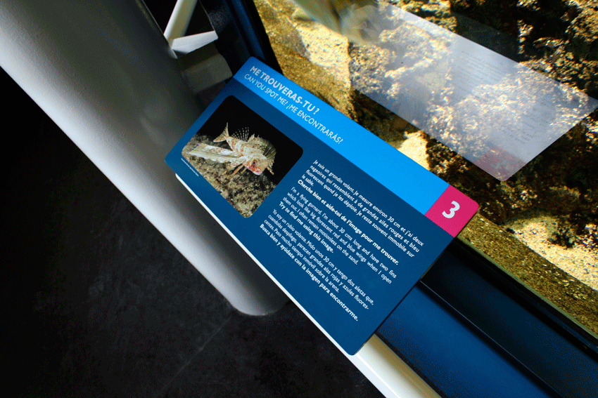 Rénovation de la totalité de l’aquarium permanent situé 
au niveau de la Géode.
Conception de l’habillage des bassins, design et conception 
graphique de la signalétique.
Suivi de fabrication et de pose de l’ensemble.
Collaboration avec Clémence Farrell
@designgraphiqueclaudelecante design graphique : Claude Lecante
Design : Claude Lecante