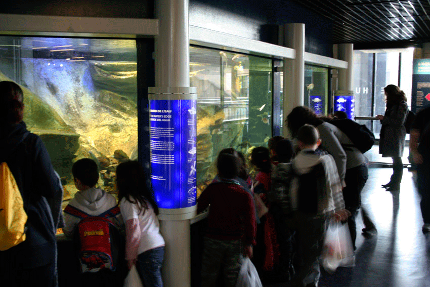 Rénovation de la totalité de l’aquarium permanent situé au niveau de la Géode. Conception de l’habillage des bassins, design et conception graphique de la signalétique. Suivi de fabrication et de pose de l’ensemble. Collaboration avec Clémence Farrell @designgraphiqueclaudelecante design graphique : Claude Lecante Design : Claude Lecante