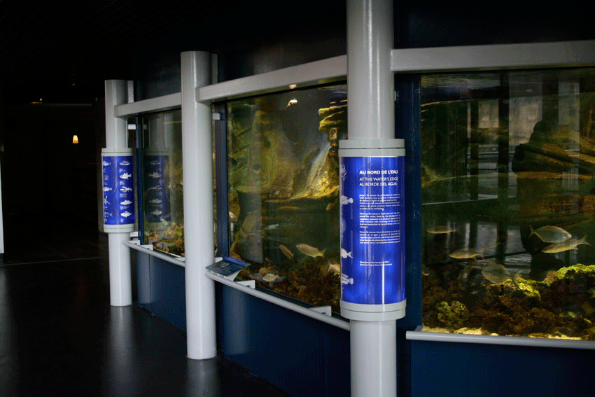Rénovation de la totalité de l’aquarium permanent situé au niveau de la Géode. Conception de l’habillage des bassins, design et conception graphique de la signalétique. Suivi de fabrication et de pose de l’ensemble. Collaboration avec Clémence Farrell @designgraphiqueclaudelecante design graphique : Claude Lecante Design : Claude Lecante