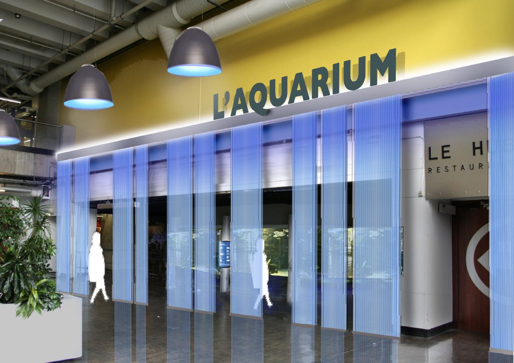 Rénovation de la totalité de l’aquarium permanent situé 
au niveau de la Géode.
Conception de l’habillage des bassins, design et conception 
graphique de la signalétique.
Suivi de fabrication et de pose de l’ensemble.
Collaboration avec Clémence Farrell
@designgraphiqueclaudelecante design graphique / Claude Lecante