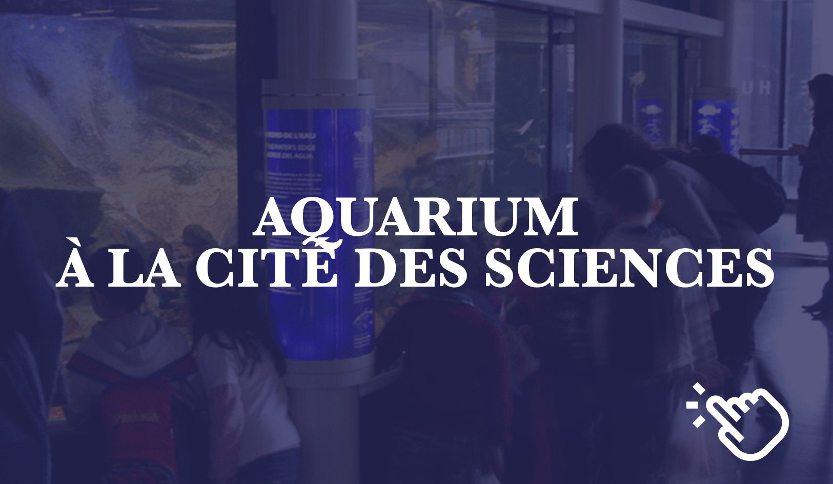 aquarium de la Cité des sciences