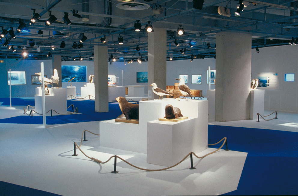 Scénographie de l’exposition “Passion pôle sud” 
sur le thème des terres australes françaises. 
Partenariat avec le MNHN.
Conception de l’espace et design du mobilier. Plans, 
suivi de fabrication et suivi de montage.
Surface : 600 m2
Graphisme : ARTKAS